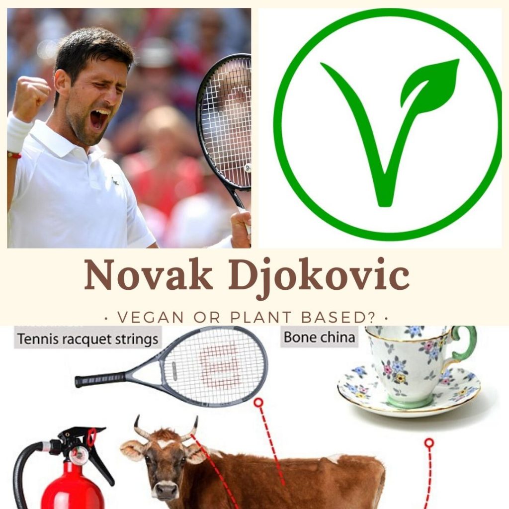 Why is Djokovic Plant based but not Vegan?